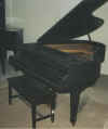 HF_Miller_before_right.jpg (80560 bytes)
