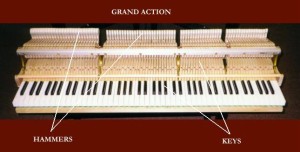 GRAND_ACTION